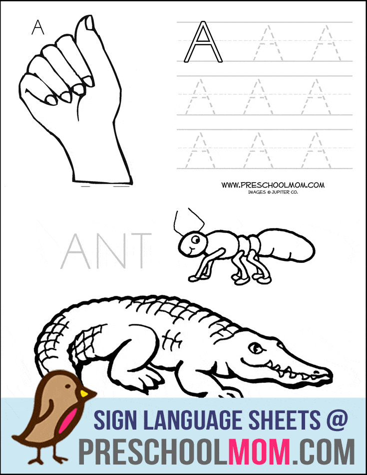 Alphabet Preschool Printables - Preschool Mom