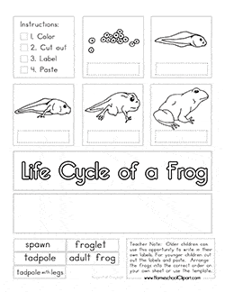Frog Preschool Printables - Preschool Mom