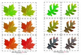 Fall Leaf Preschool Printables - Preschool Mom