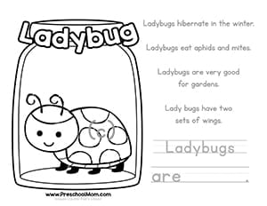 Color & Learn Bug Worksheets - Preschool Mom