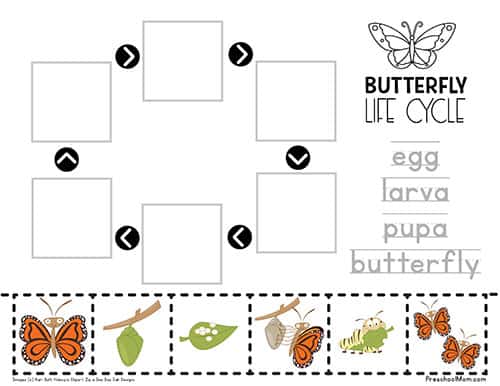 ButterflyWorksheet