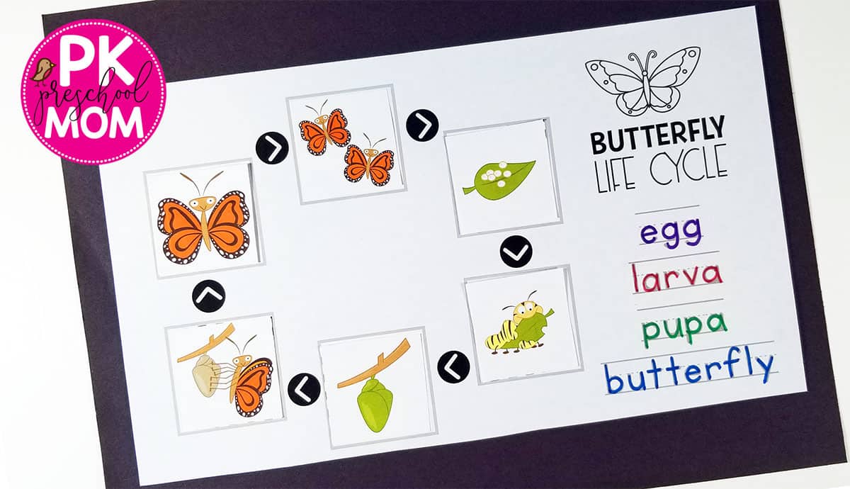ButterflyLifeCycleCraft - Preschool Mom