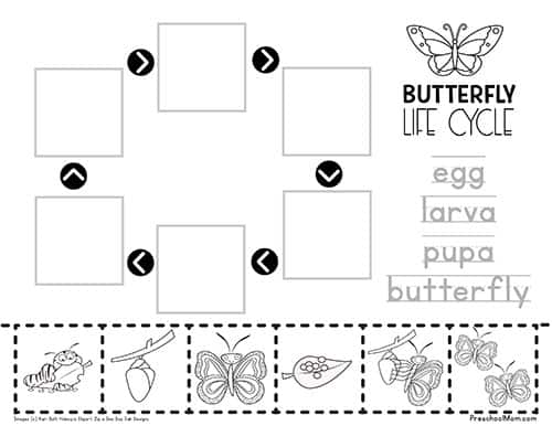 ButterflyLifeCycleWorksheet