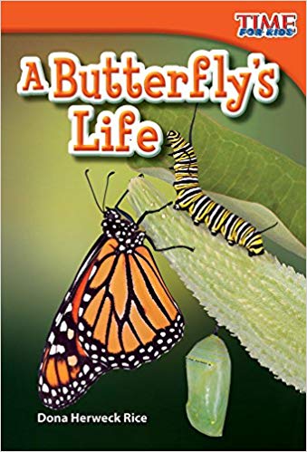 a-butterflies-life - Preschool Mom