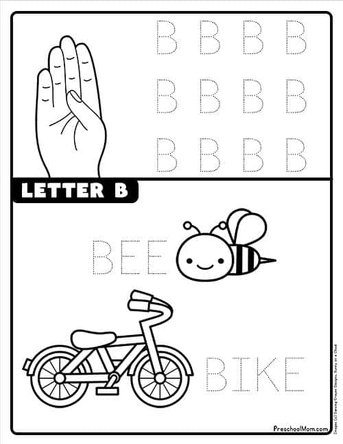 Sign Language Alphabet Letter B