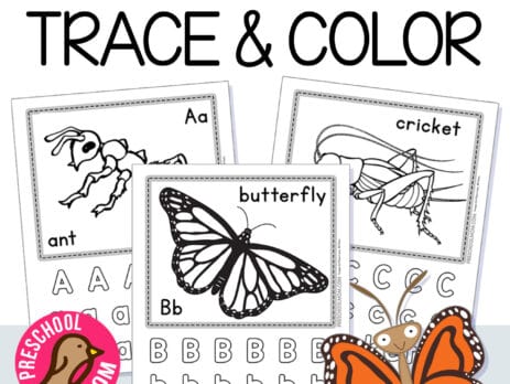 Preschool Bug Printables
