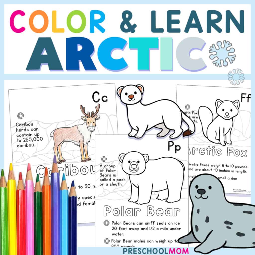 Arctic Animal Coloring Pages