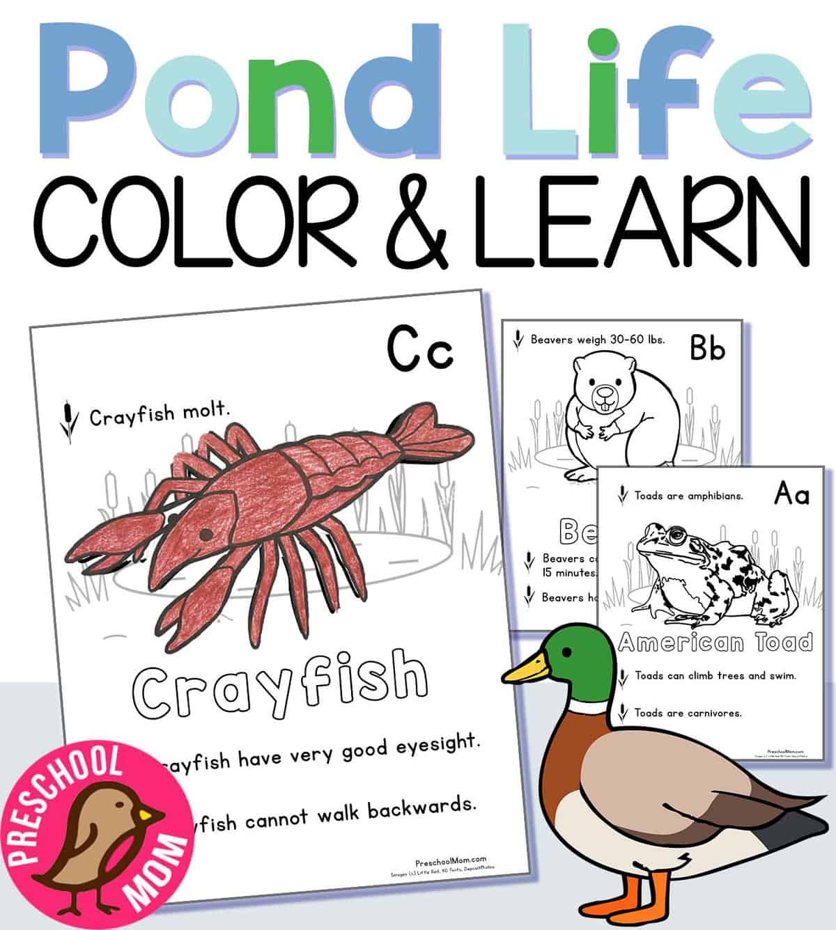 Color Science for Kids by Preschool Mom